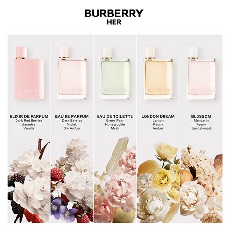 burberry her elixir chemist warehouse|burberry her perfume chemist warehouse.